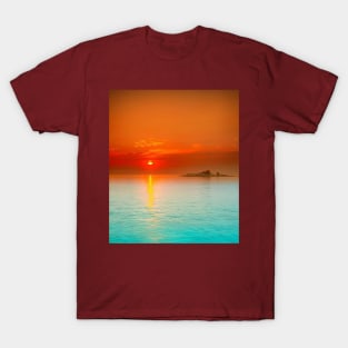 Stunning T-Shirt